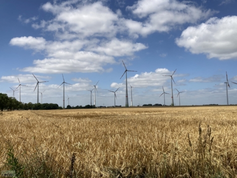 Flächen bei Altentreptow, Los 1, Mecklenburg-Vorpommern, Mecklenburgische Seenplatte