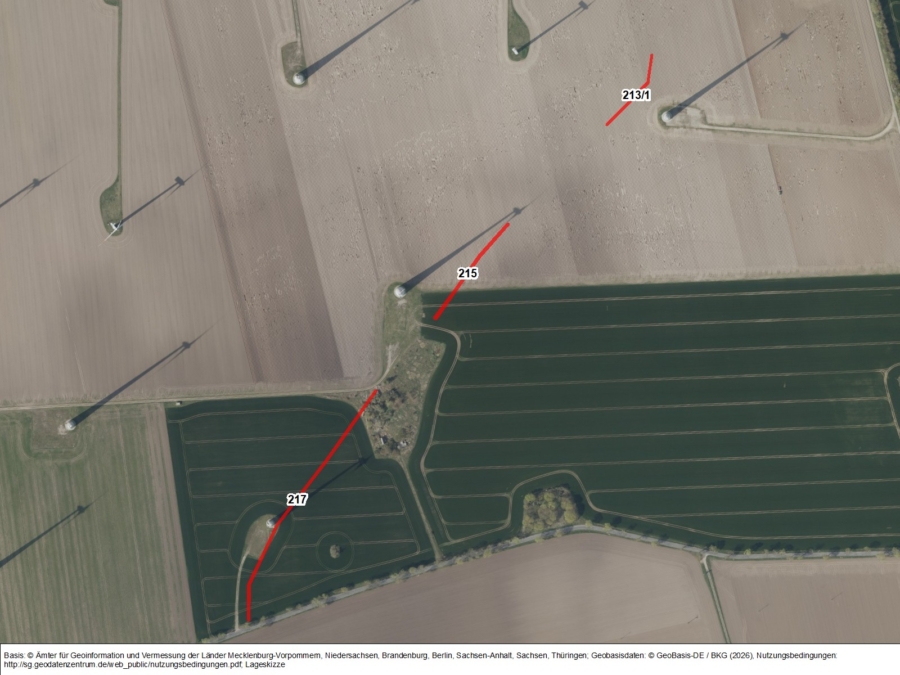 Flächen bei Altentreptow, Los 1 - Bild