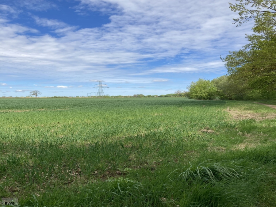 Fläche bei 17406 Kölpin - Bild