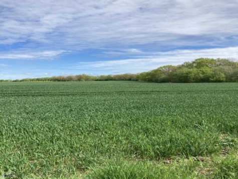 Fläche bei 17406 Kölpin, Mecklenburg-Vorpommern, Vorpommern-Greifswald