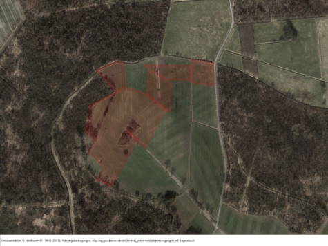 Windrechte im Vorranggebiet Parum, Mecklenburg-Vorpommern, Ludwigslust-Parchim