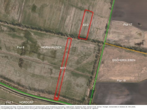 Grünland bei Hornhausen, Sachsen-Anhalt, Börde