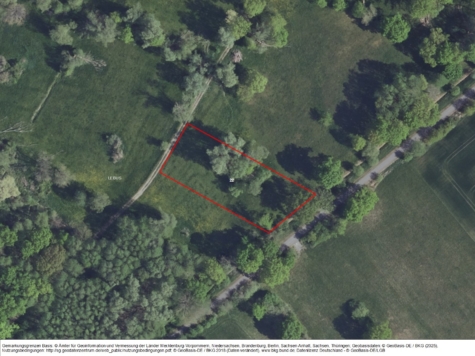 Grünland nordöstlich von Lebus an der Straße Lebus-Busch, Brandenburg, Märkisch-Oderland