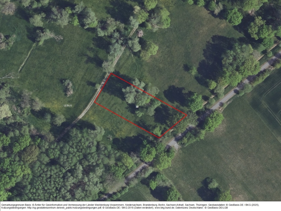 Grünland nordöstlich von Lebus an der Straße Lebus-Busch - Titelbild
