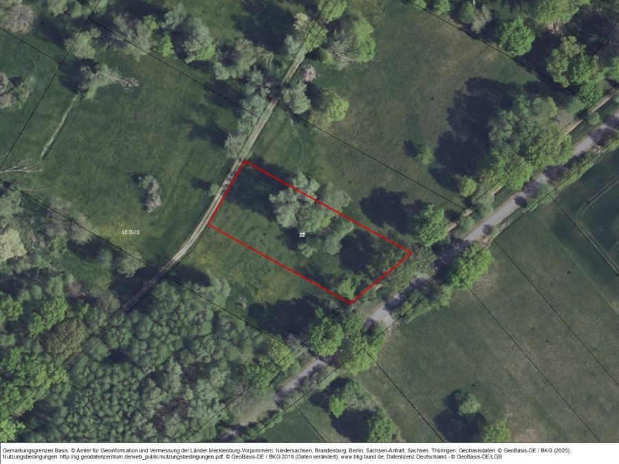 Grünland nordöstlich von Lebus an der Straße Lebus-Busch - Bild