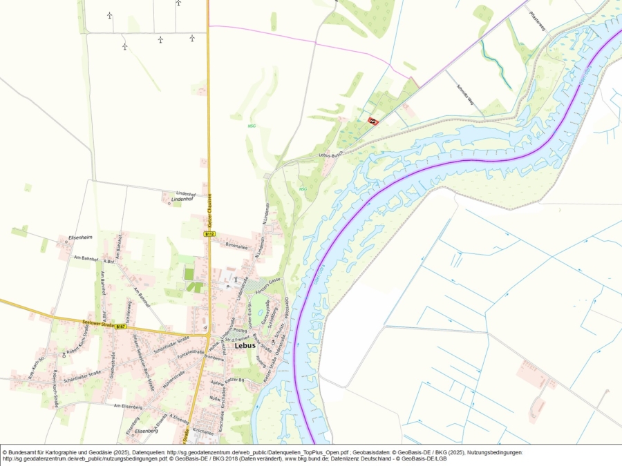 Grünland nordöstlich von Lebus an der Straße Lebus-Busch - Bild