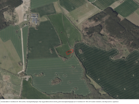 Fläche in Janow, Mecklenburg-Vorpommern, Vorpommern-Greifswald