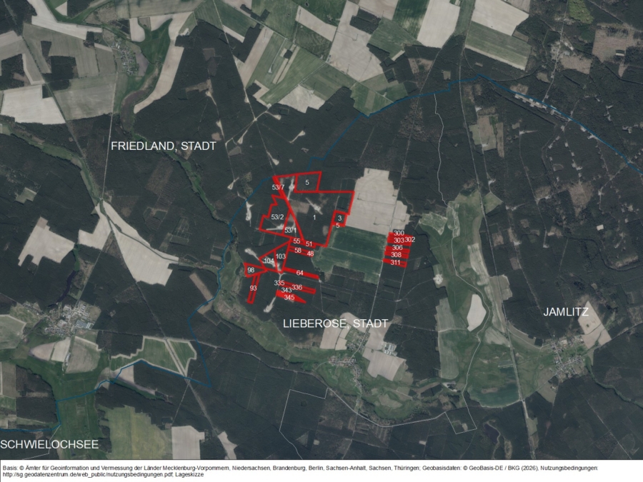 Forst bei Trebitz - Bild