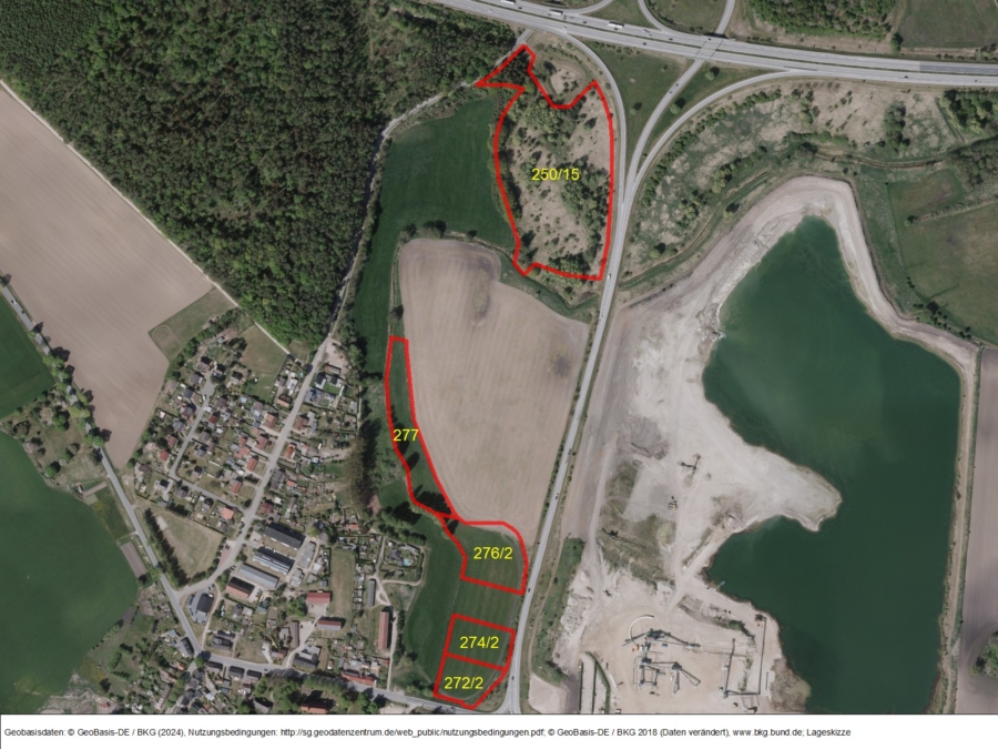 Grünland in Zurow - Bild