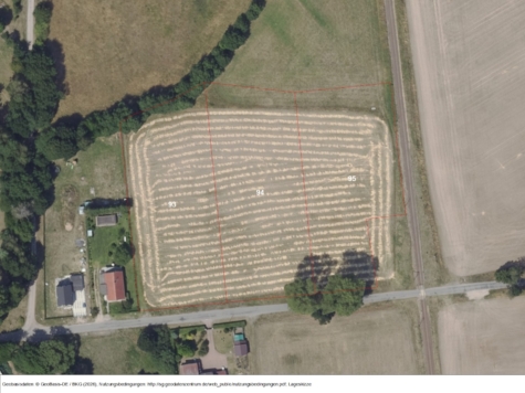 Flächen östlich von Schönberg (Mark), Brandenburg, Ostprignitz-Ruppin