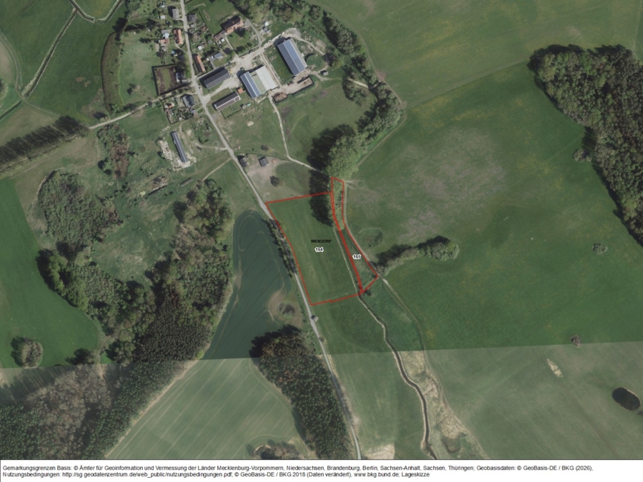 Grünland bei Wendorf (Sanitz) - Bild