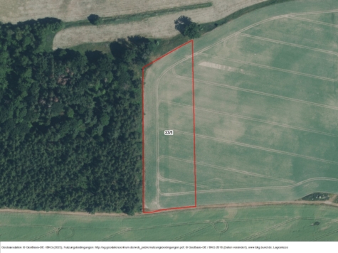 Fläche bei Rubkow, Mecklenburg-Vorpommern, Vorpommern-Greifswald
