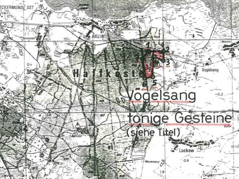 Ausschreibung Bergwerkseigentum Vogelsang, Tonrohstoffe, Mecklenburg-Vorpommern, Vorpommern-Greifswald