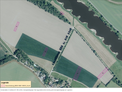 Ackerflächen nördlich von Belgern, Sachsen, Nordsachsen