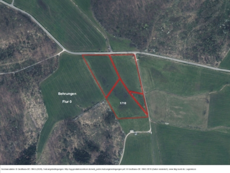 Miteigentumsanteile Grünlandfläche Behrungen, Thüringen, Schmalkalden-Meiningen