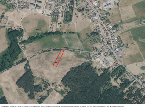 Fläche bei Jatznick, Mecklenburg-Vorpommern, Vorpommern-Greifswald