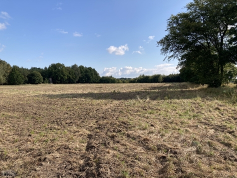 Flächen bei Pamitz, Mecklenburg-Vorpommern, Vorpommern-Greifswald