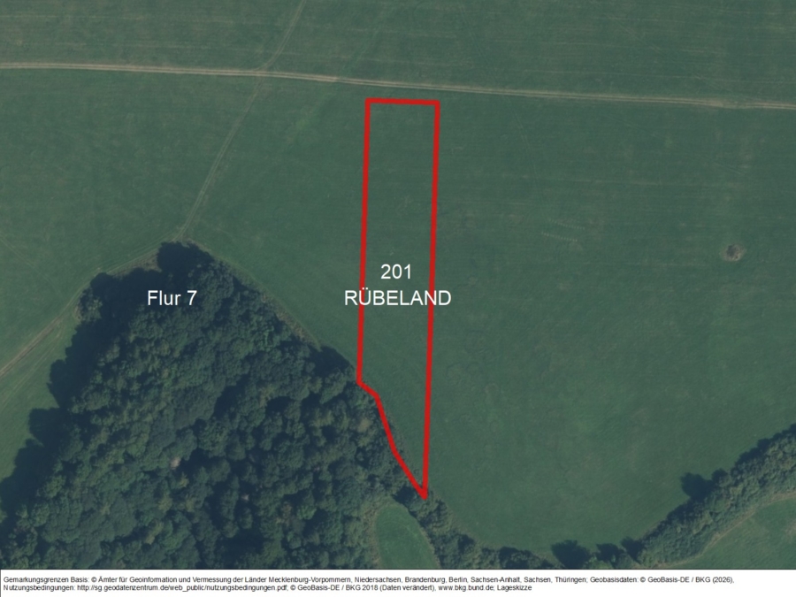Grünlandfläche bei Rübeland - Titelbild