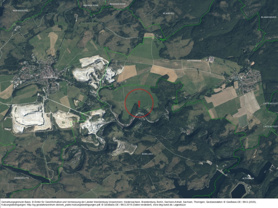 Grünlandfläche bei Rübeland - Bild