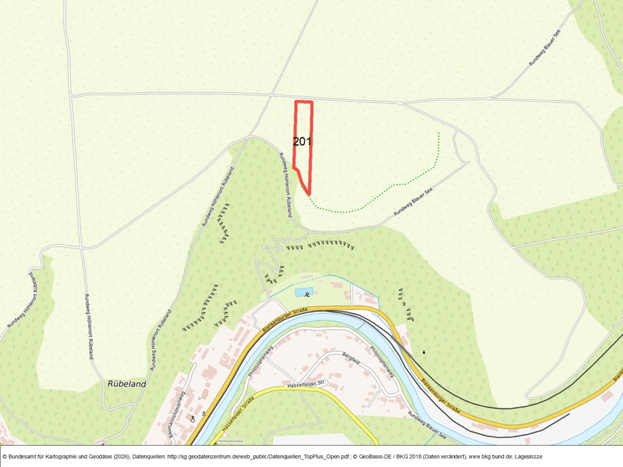 Grünlandfläche bei Rübeland - Bild