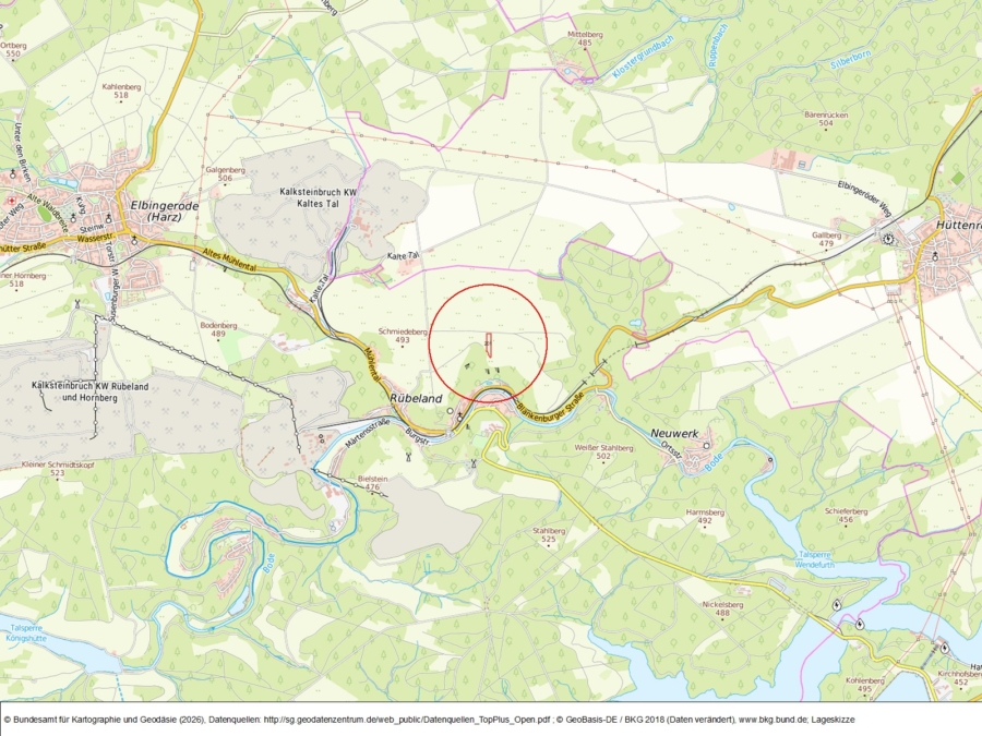 Grünlandfläche bei Rübeland - Bild