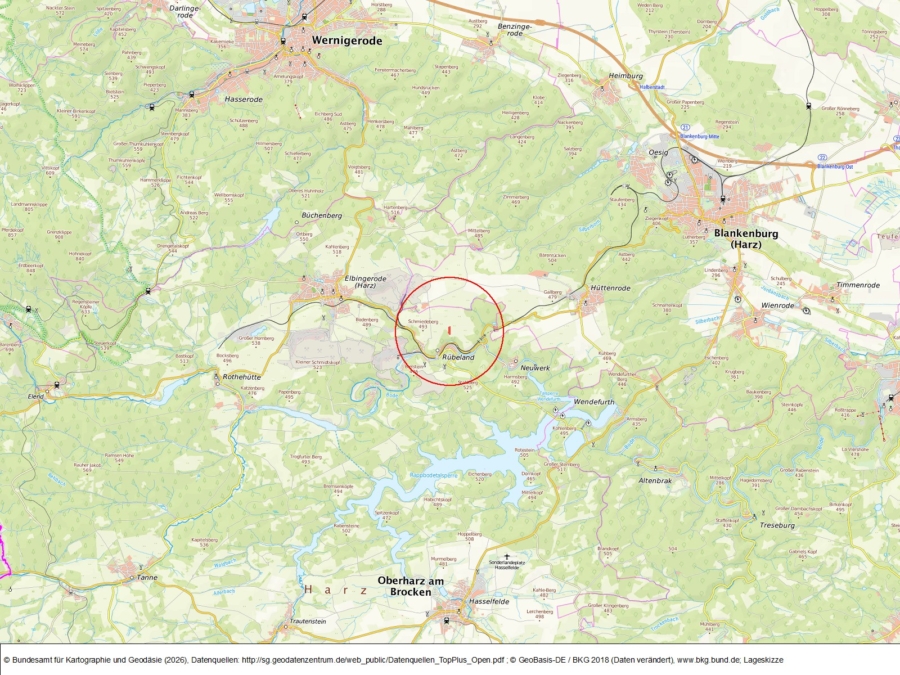 Grünlandfläche bei Rübeland - Bild