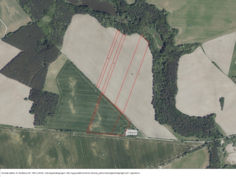 Flächen zur potenziellen Windenergienutzung bei Biegen, Brandenburg, Frankfurt (Oder)