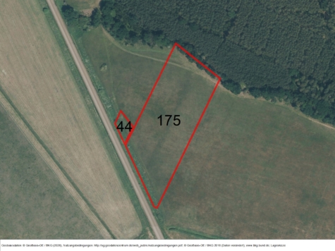 Fläche in Sandförde, Mecklenburg-Vorpommern, Vorpommern-Greifswald