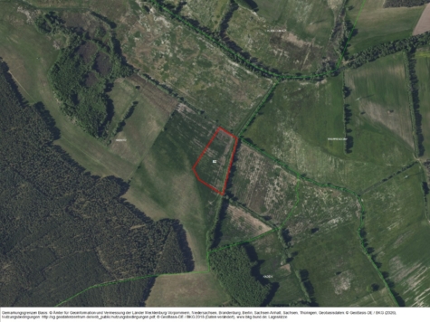 Landwirtschaftsfläche östlich von Niewitz am Kadener Kümpan, Brandenburg, Dahme-Spreewald