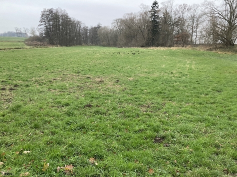 Fläche bei Jargelin, Los 1, Mecklenburg-Vorpommern, Vorpommern-Greifswald