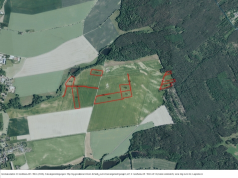 Flächen zur potenziellen Windenergienutzung bei Voigtshain, Sachsen, Leipzig-Land